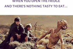 Gollum-starving-meme-LOTR