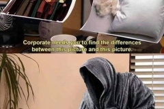 Ringwraiths-Differencess-Pictures-meme-LOTR