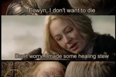 Theoden-Eowyn-Healing-Stew-meme-LOTR