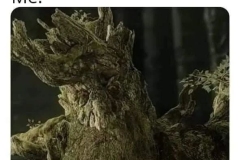 Toddler-Speak-Treebeard-meme-LOTR